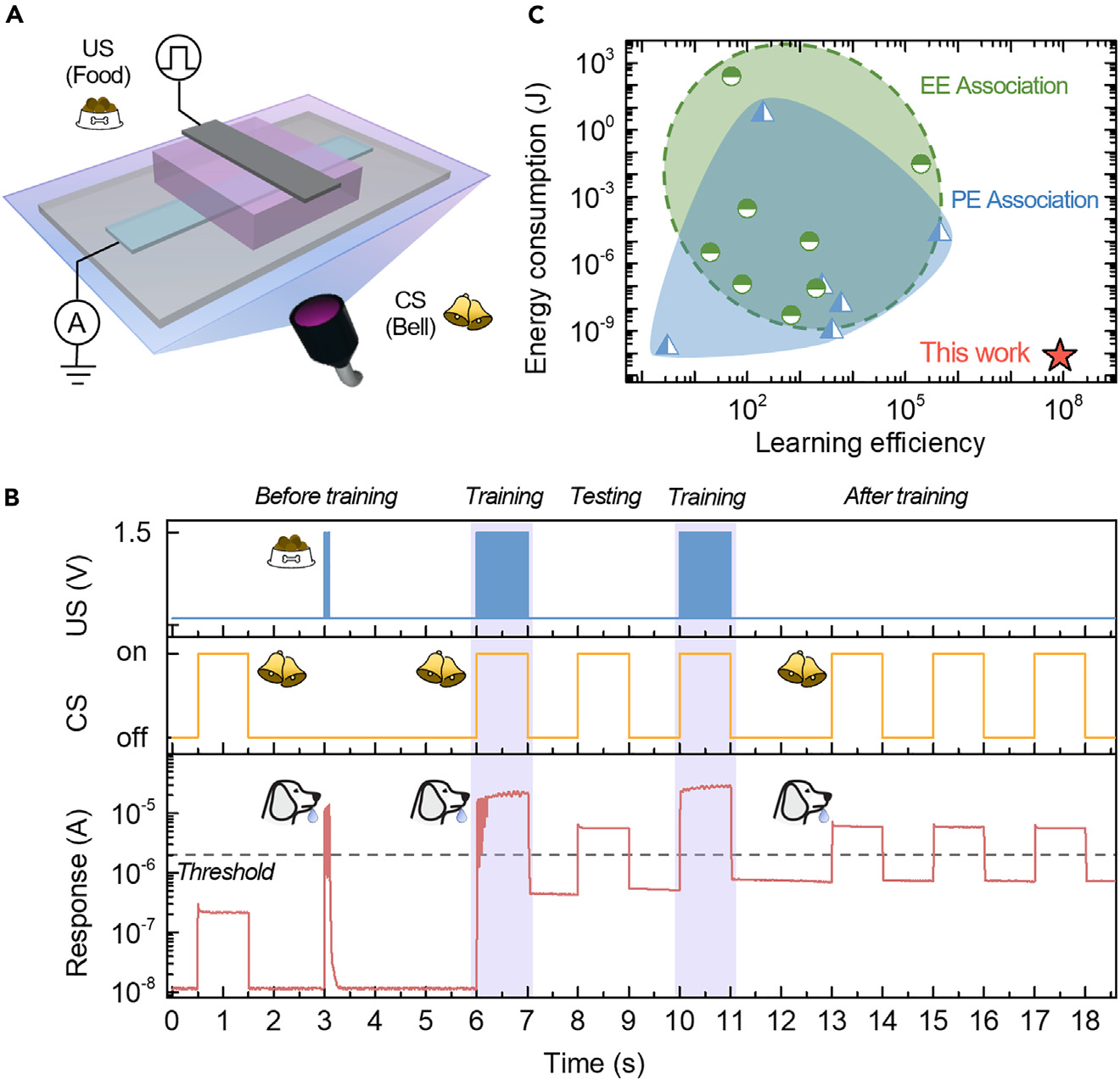 Pavlovian conditioning experiment: bell as conditioned stimulus and food pulse as unconditioned stimulus, response trace showing bell-only firing after training, and scatter of energy consumption vs learning efficiency with this work as the outlier